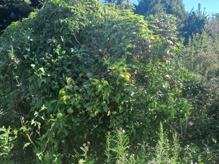 일련번호(2)전경