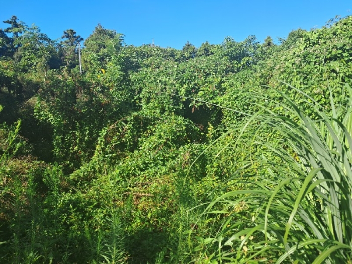 일련번호(3)전경