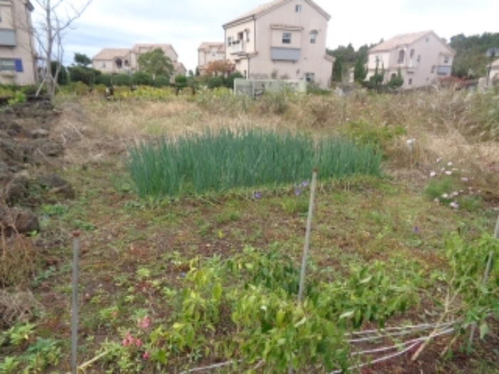 소재지2(동광리 862-32)전경 사진