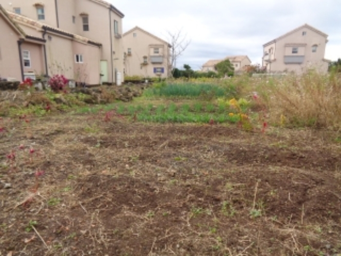 소재지3(동광리 862-33)전경 사진