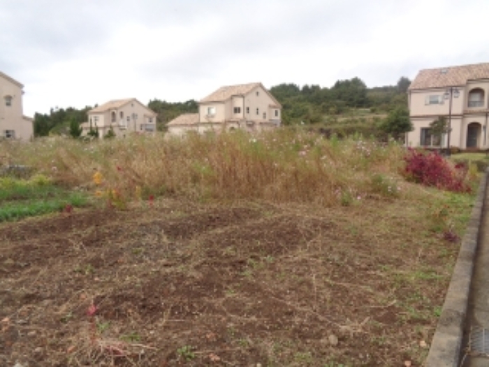 소재지3(동광리 862-33)전경 사진