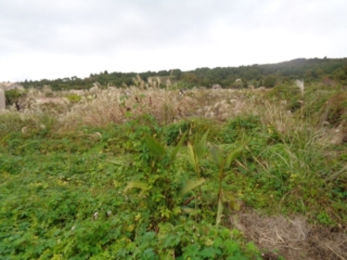 소재지4(동광리 863-11)전경 사진