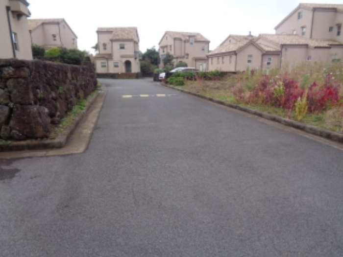 소재지1(동광리 862-21)전경 사진