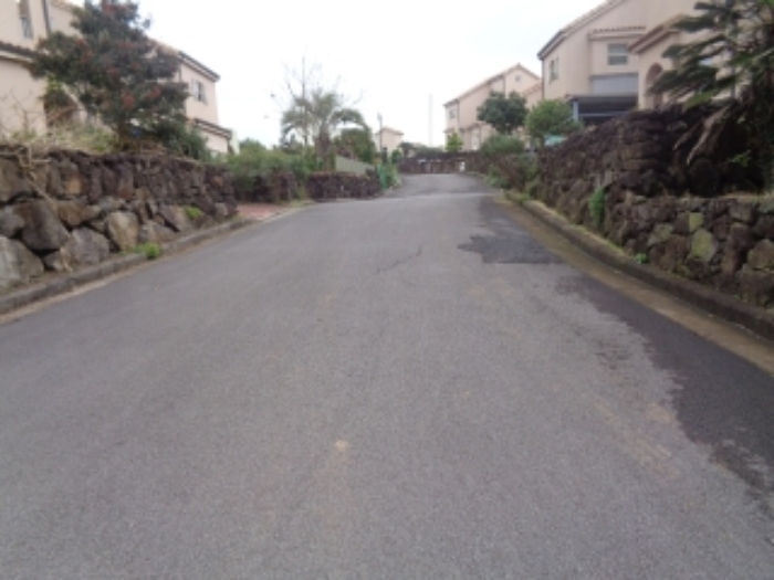 소재지1(동광리 862-21)전경 사진