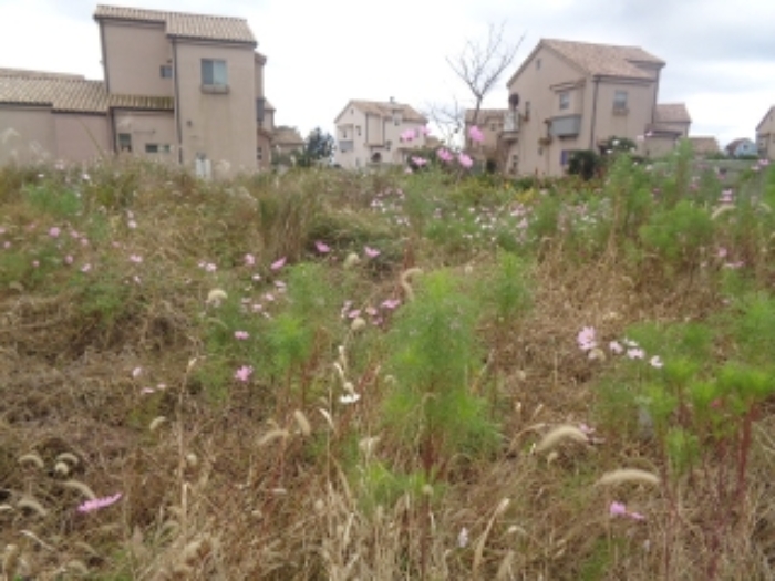 소재지2(동광리 862-32)전경 사진