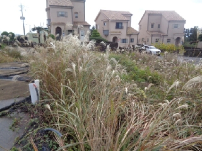 소재지4(동광리 863-11)전경 사진