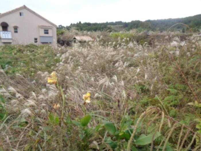 소재지5(동광리 863-12)전경 사진