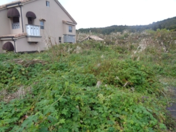 소재지5(동광리 863-12)전경 사진