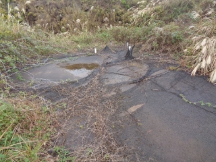 소재지5(동광리 863-12) 지상 바닥기초 공사 사진