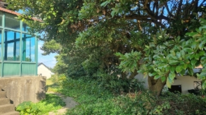 소재지2(종달리 755-4) 전경2