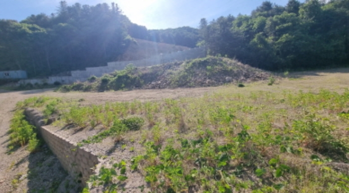 목록 7. 토지(목록 1. 토지와 경계부분에서 위쪽을 본 모습)