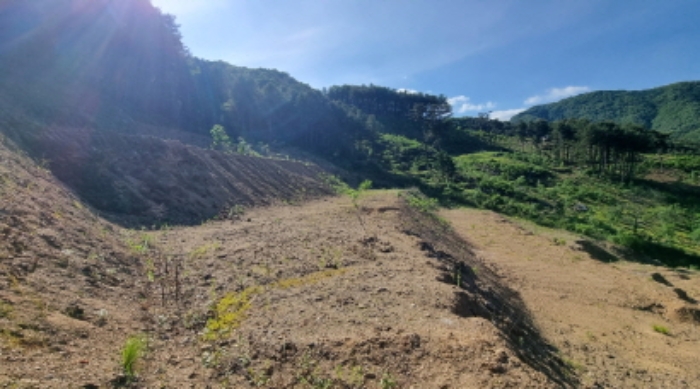 목록 5. 토지의 중간 부분