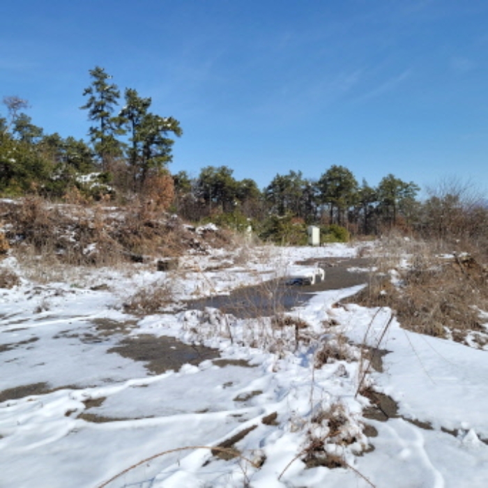 본건 토지 전경