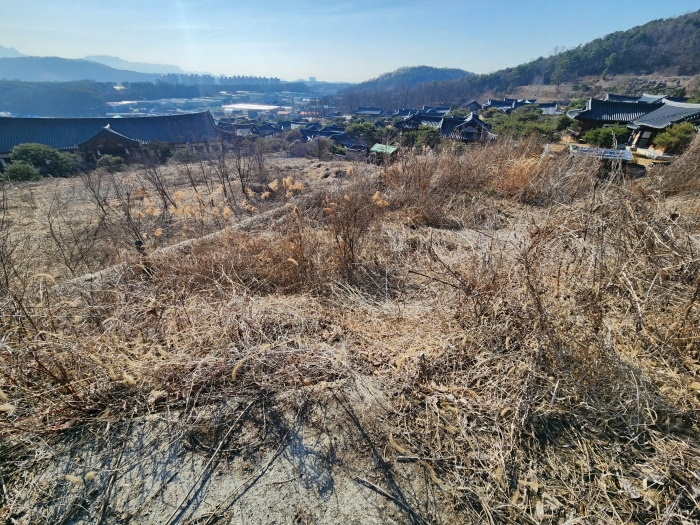 본건 및 주위전경