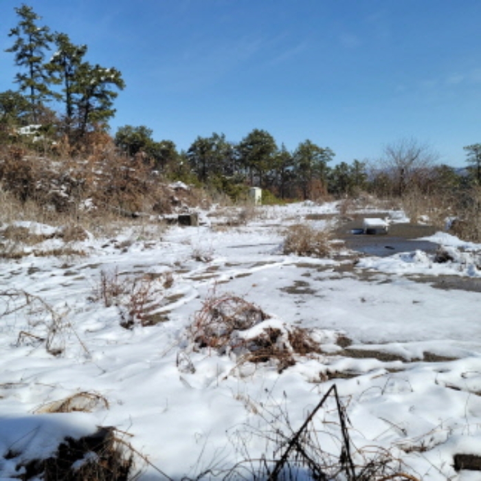본건 토지 전경