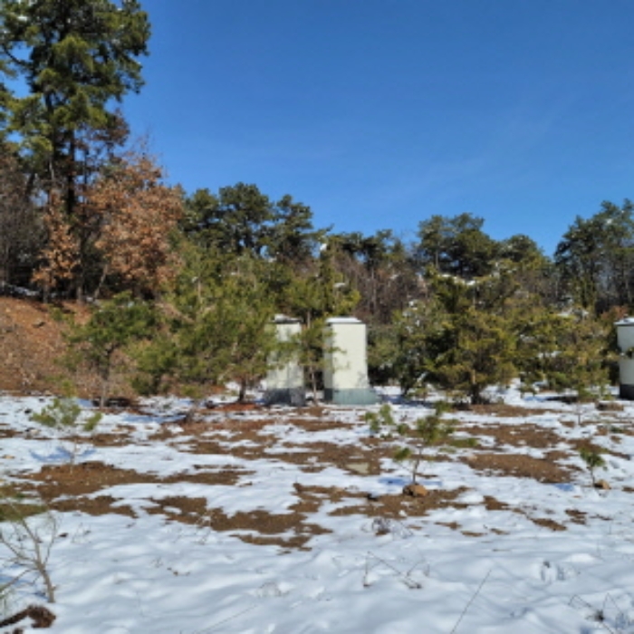 본건 토지 전경(제시외 간이화장실 2개 있음)