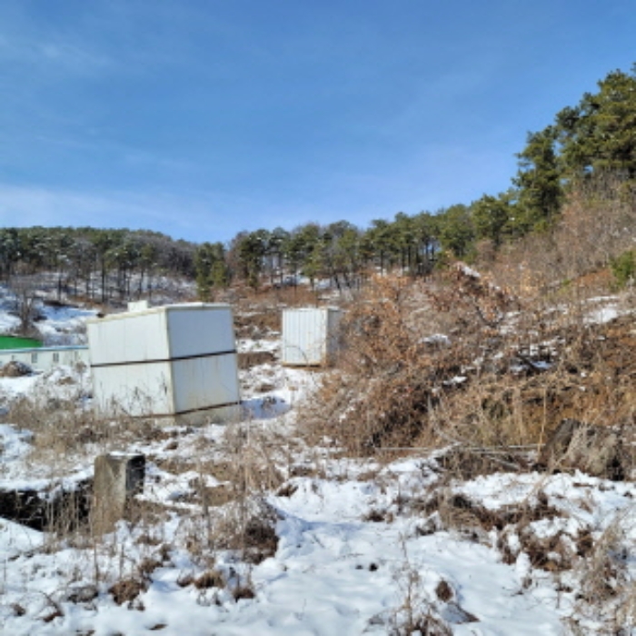 본건 토지 및 제시외 컨테이너 2개동 전경
