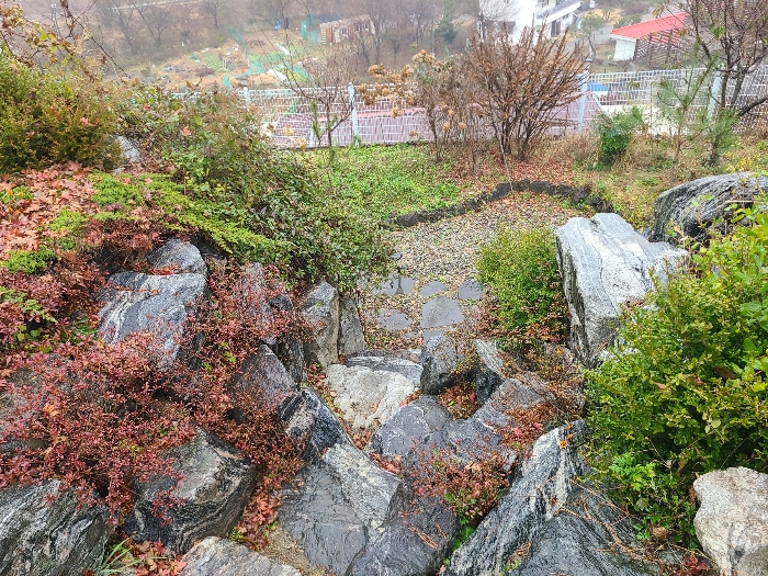 본건 기호1 토지 등 전경