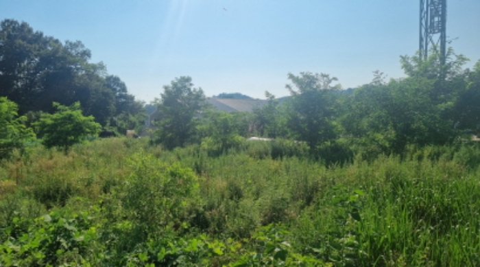 목록 1~5 전경(2)