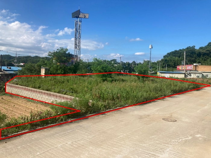 일련번호(1)-(3) 전경