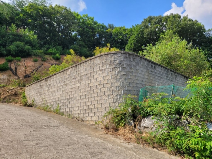 본건전경(일련번호 2))