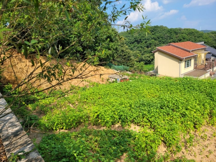 본건전경(일련번호 4))