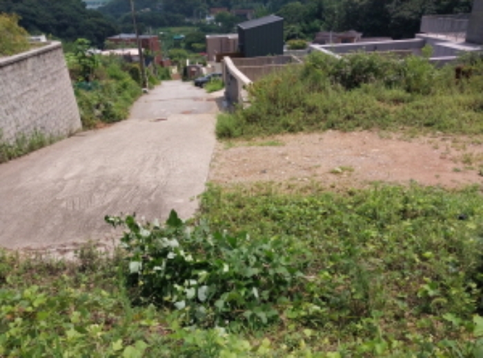 목록1, 목록3 전경