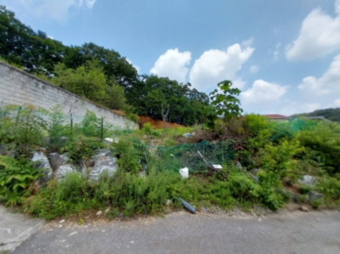 목록4에 접한 230-17 임야 입구
