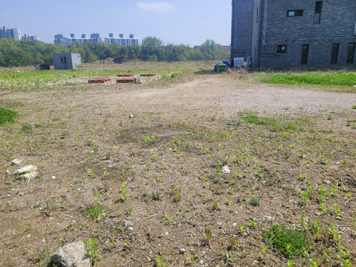 기호 4토지 전경(북측에서 촬영)