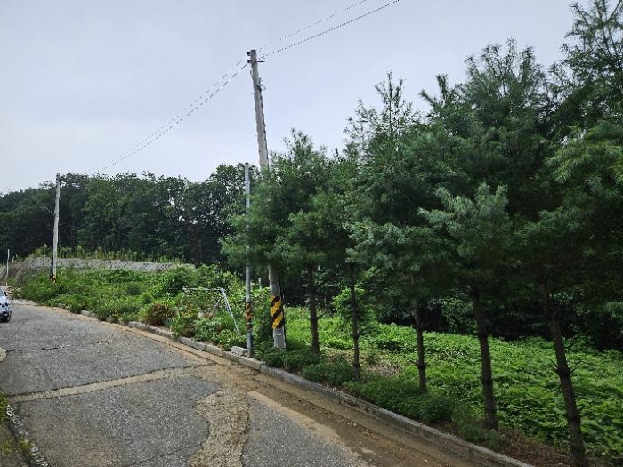 제시 목록 1 전경