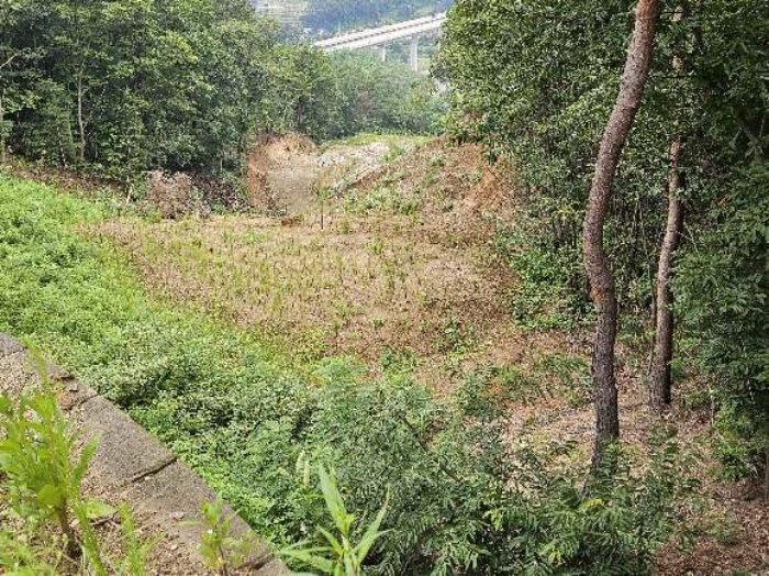 제시 목록 5 전경(위쪽 기준)