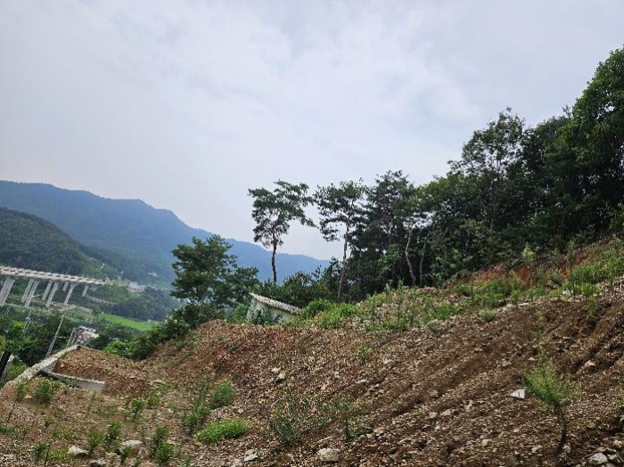 제시 목록 3 전경