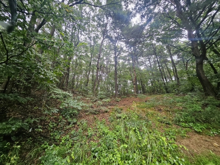 본건 기호(7) 토지 전경