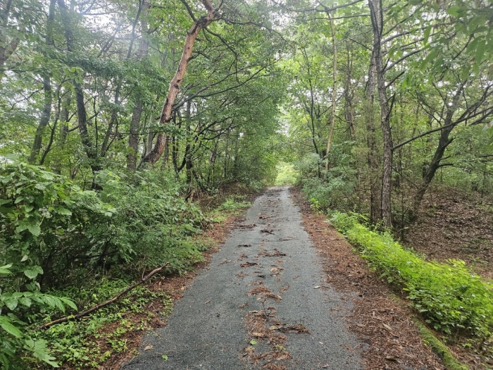 본건 기호(9) 토지 전경