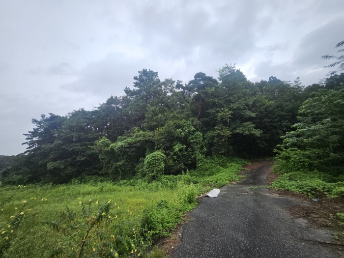 본건 토지 전경