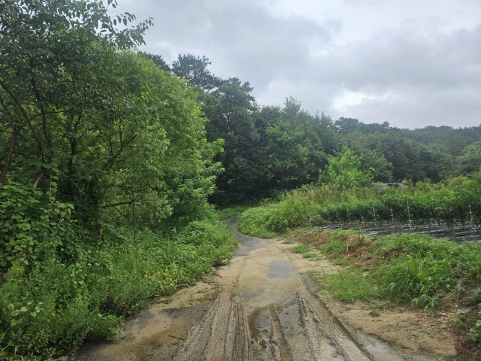 본건 주위환경 및 접면도로 