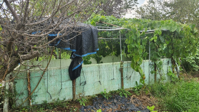 제시외건물(ㅂ)