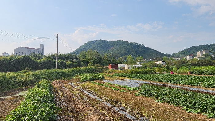 대상토지 부근전경