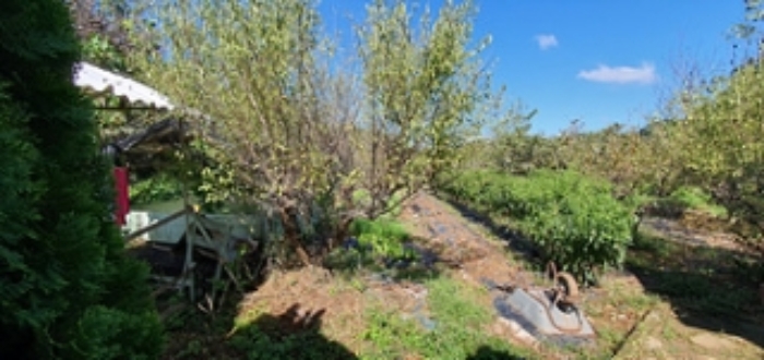 기호 1 안쪽 전경