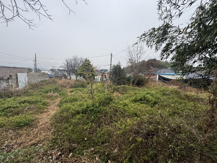 기호 1)