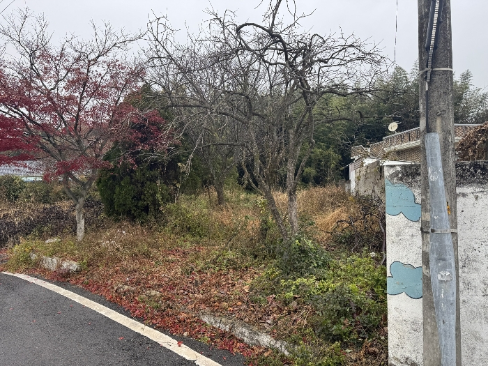 기호 3)