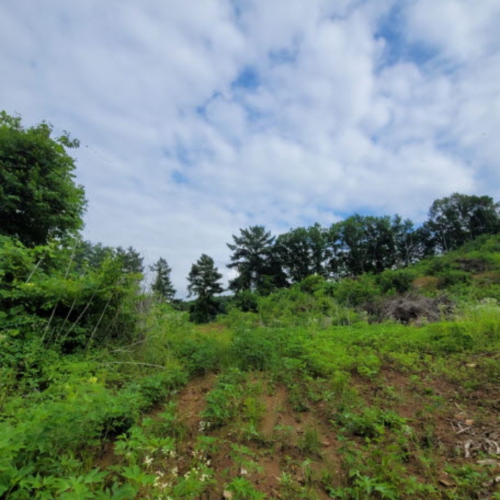 목록1 토지 전경