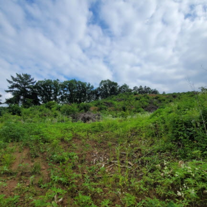 목록1 토지 전경