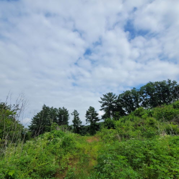 목록1 토지 전경