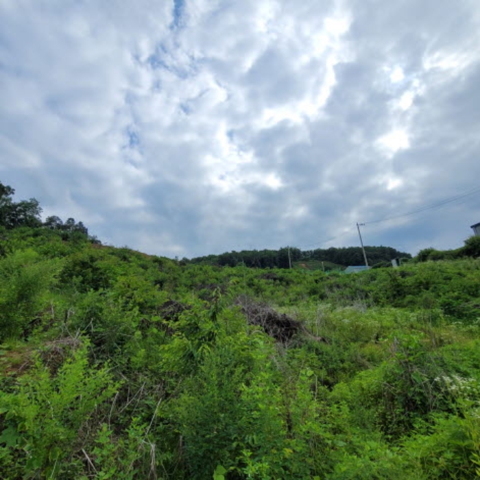 목록1 토지 전경