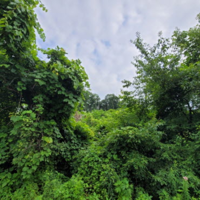 목록1 토지 전경