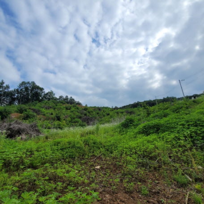 목록2 토지 전경