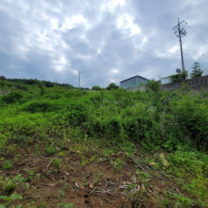 목록2 토지 전경