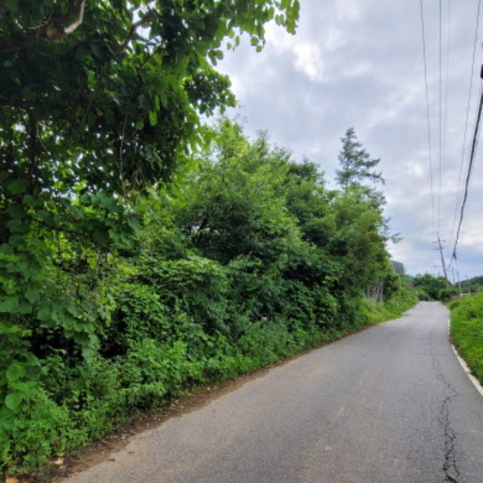 목록2 토지 전경