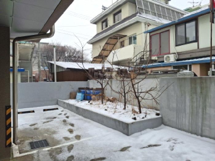 제시외 수목 모습